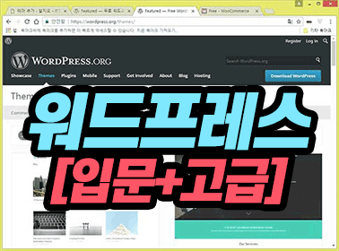 워드프레스 [입문+고급]