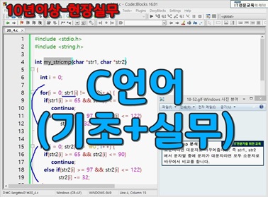 C언어 (기초 + 실무)