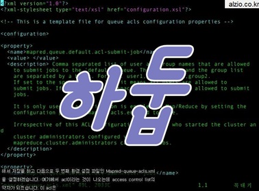하둡