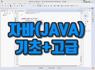 자바(JAVA) 기초 + 고급