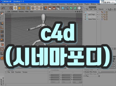 c4d (시네마포디)