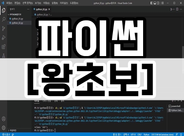 파이썬 [왕초보] VSCode